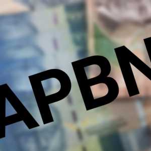 Asumsi Makro Meleset Jauh dari Realitas