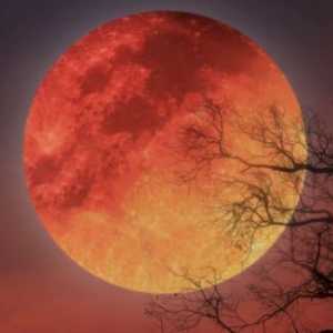 Momen Langka, Cap Go Meh 2026 Juga Dirayakan Langit