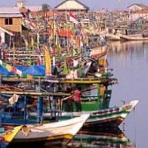 Pendapatan Nelayan Pantura Menurun, Ini Penyebabnya