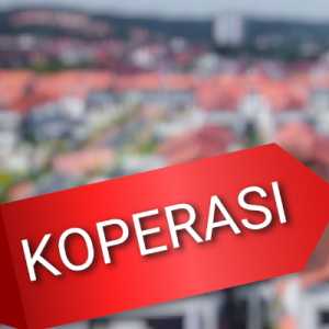 Menkop Jamin Produk Lokal Tempati Rak Depan Gerai KDKMP