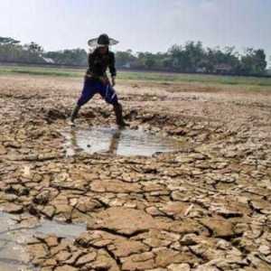 Mengenal Fenomena El Nino Godzilla yang Bikin Kemarau 2026 Terasa Lebih Kering