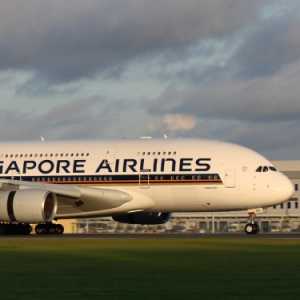 Singapore Airlines Minta Maaf soal Bagasi Penumpang Hilang