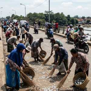 Penyapu Koin Jembatan Sewo Indramayu Masih Marak, Ini Asal-usulnya