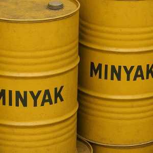 Lebaran di Ambang Kelangkaan BBM