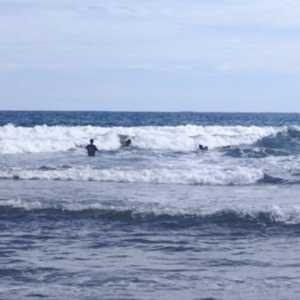 Beruntung, Petugas Pantai Gercep Menolong Wisatawan Terseret Ombak