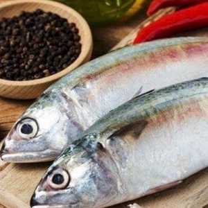 Strategi Pilih Makanan Sehat Menghadapi Musim Kemarau dan Hujan