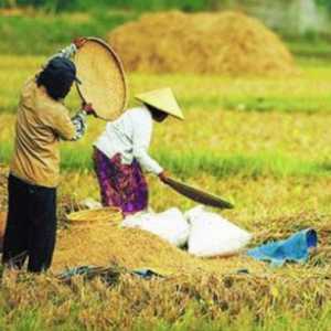 SPPG di Sumba dan Tasikmalaya Sukses Dongkrak Ekonomi Petani