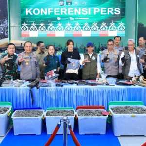 Polisi Bekuk 15 Tersangka Perburuan Gajah Sumatera Lintas Provinsi