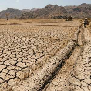 BRIN Prediksi ‘Godzilla El Nino’ Terjadi April 2026, Musim Kemarau Berpotensi Lebih Panjang