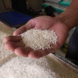 Membenahi Logika Swasembada Beras yang Mengada-ada