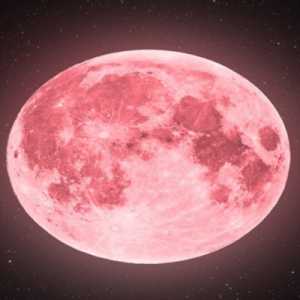 Menyaksikan Pesona 'Pink Moon' di Langit Jakarta Malam Ini, Kapan Waktu Terbaiknya?