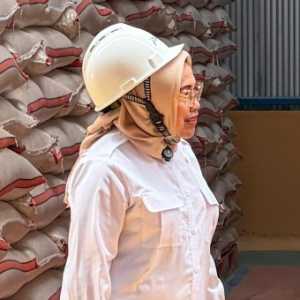 Stok Beras 5 Juta Ton Harus Sampai ke Rakyat dengan Harga Terjangkau