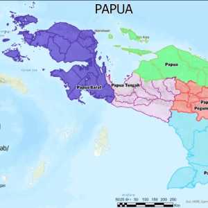 Menyusuri Jejak Papua dalam Peradaban Maritim Nusantara