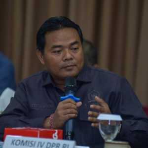 Negara Jangan Cuek terhadap Nasib Peternak Ayam Lokal