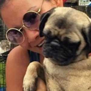 Sembilan Tahun Kasus Kematian Anjing Melanie Subono Mangkrak