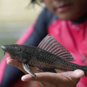 Politik Angka vs Realitas Ekologi: Sungai Tak Bisa Dipimpin Statistik