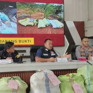 Tiga Hektare Ladang Ganja di Empat Lawang Dibongkar