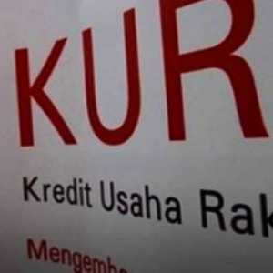 KUR dan Salah Arah Subsidi Negara