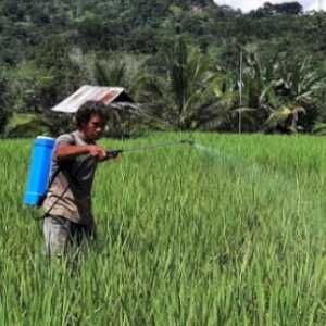 Petani Kecil Menggugat Negara