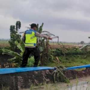 Ibu Lansia di Grobogan Tewas Tersambar Petir