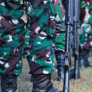 Penambahan Komando Teritorial Berpotensi Seret TNI ke Politik Praktis
