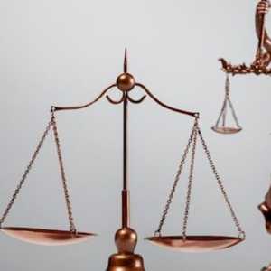 Talenta Berani, Pagar Hukum Kokoh