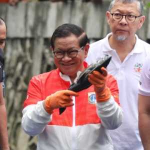 Perburuan Ikan Sapu-Sapu: Kebijakan Aman secara Politik, Tinggi Nilai Pencitraan