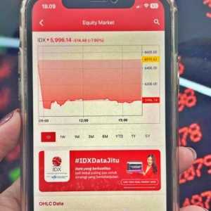 Asing Lepas Saham, IHSG Anjlok Lebih 14 Persen