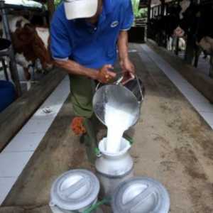 Indonesia Butuh Tambahan 144 Juta Liter Susu Segar per Tahun buat MBG