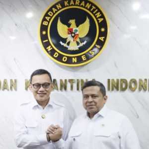 BPJPH dan Barantin Perkuat Pengawasan Pakan Impor Berunsur Porcine