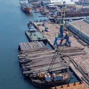 Tanjung Emas: Pelabuhan Kelas Dunia yang Terganjal Alur Dangkal