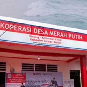 KDKMP Harus Jadi Penyalur Tunggal Barang Subsidi