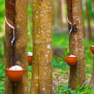 PTPN Buka Ruang Restorative Justice bagi Buruh Sadap Lansia