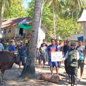 Terabas 2,5 Jam Jalur Laut demi Tebar Hewan Kurban ke Pulau Longos
