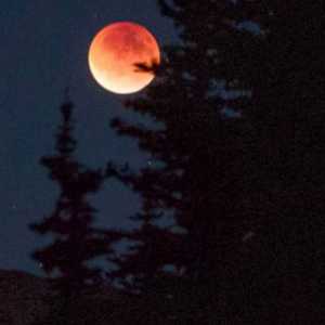 6 Fenomena Langit Spektakuler Hiasi Bulan Mei 2026