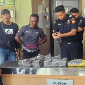 Penyelundupan 2,1 Kg Ganja dari Papua Nugini Digagalkan