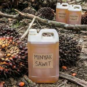 Pasar Dalian Melemah, Harga Minyak Sawit Ikut Terkoreksi