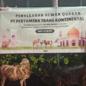 PTK Pastikan Operasional Maritim Tetap Jalan Selama Libur Iduladha
