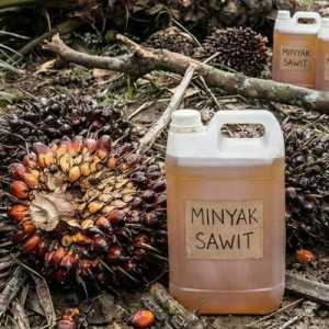 Harga Sawit Bangkit ke Level 4.551 Ringgit, Tersulut Sentimen Minyak Global