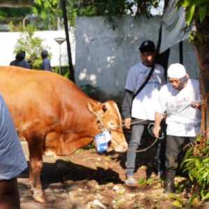 BNI Distribusikan 1.200 Hewan Kurban ke Berbagai Daerah Indonesia