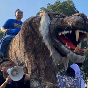 Rayakan Persib Juara, Replika Maung Raksasa Bomber Guncang Asia Afrika