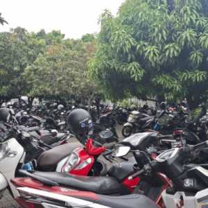 Kalteng Gelar Pemutihan dan Diskon Pajak Kendaraan, Cek Jadwalnya