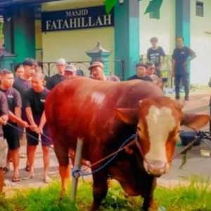 Masjid Kompleks Amien Rais Dapat Kiriman Sapi Berinisial TIW