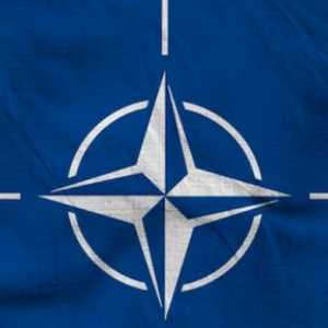 NATO Turun Gunung Usai Trump Mau Tarik 5 Ribu Pasukan dari Jerman