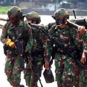 Perlukah TNI Turun Tangan Jaga Stabilitas Dalam Negeri?