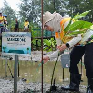 Penanaman Mangrove Jadi Strategi IKN Hadapi Perubahan Iklim