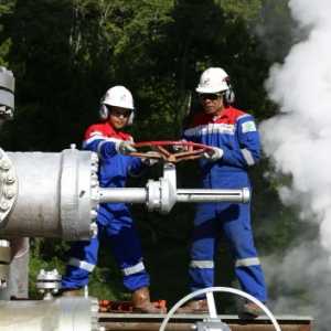 Pertamina Dukung Ketahanan Energi Melalui Pengembangan Panas Bumi