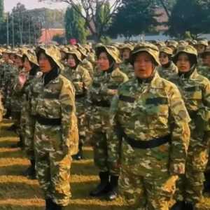 Hilangnya Disiplin Kelembagaan