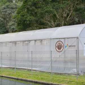 100 Tahun Geothermal Kamojang, Pertamina Buktikan Komitmen Pasok Energi Bersih