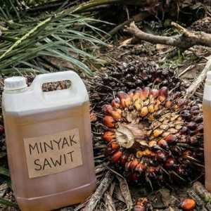 Kenaikan Beruntun CPO Malaysia Didorong Sentimen Minyak Global
